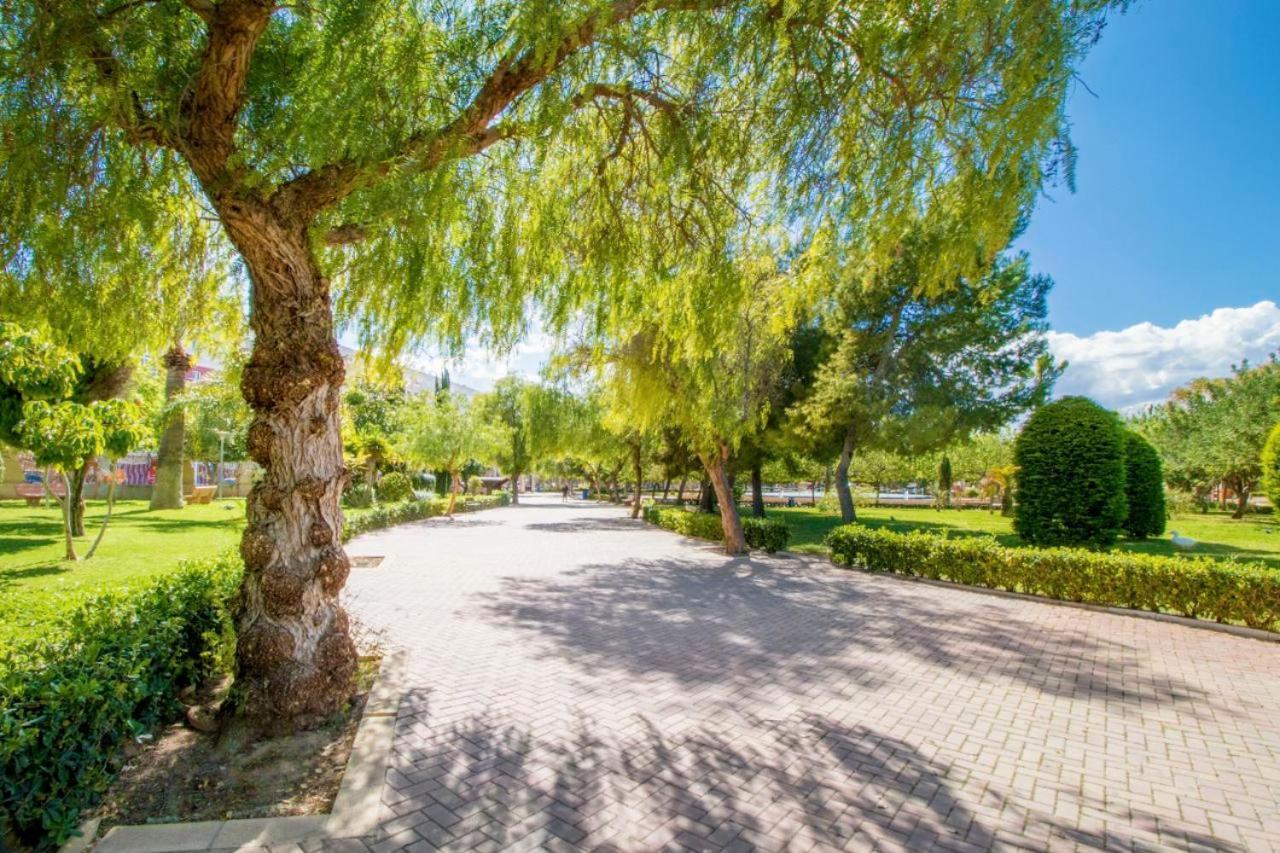 Apartamentos Villa Madrid Торевиеха Екстериор снимка